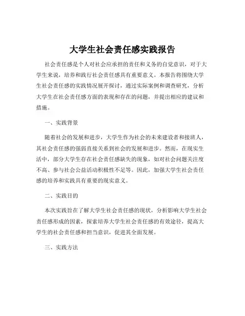 大学生社会责任感实践报告