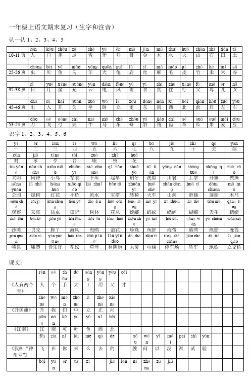 一年级上语文期末复习(生字和注音)
