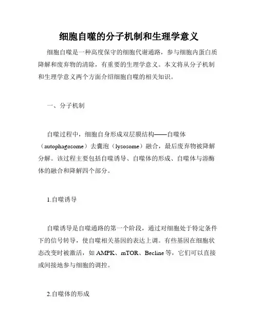 细胞自噬的分子机制和生理学意义