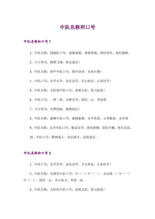 中队名称和口号