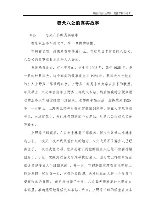 忠犬八公的真实故事