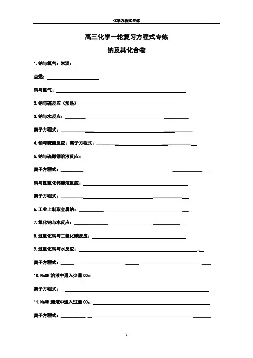 高三化学第一轮复习方程式专练----钠及其化合物
