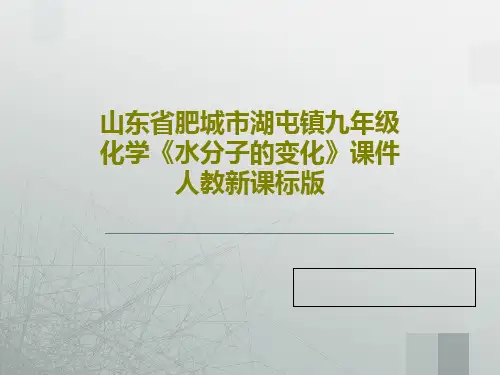 山东省肥城市湖屯镇九年级化学《水分子的变化》课件人教新课标版共15页PPT