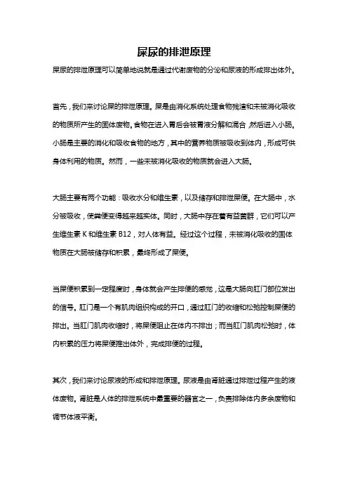 屎尿的排泄原理