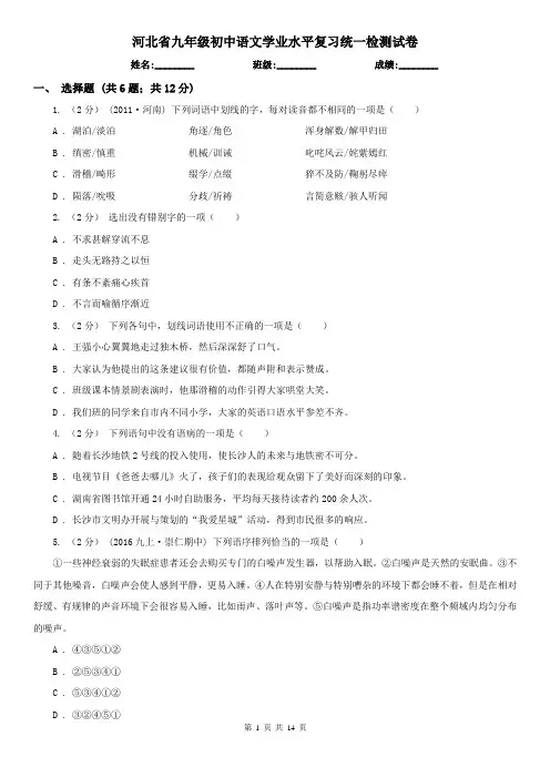 河北省九年级初中语文学业水平复习统一检测试卷