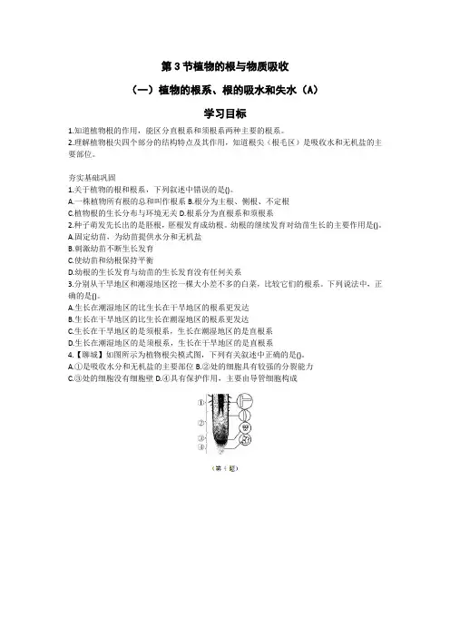 浙教版科学八下第4章植物与土壤第三节