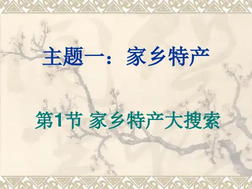 主题一：家乡特产(课件)粤教版五年级上册综合实践活动