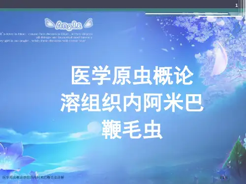 医学原虫概论溶组织内阿米巴鞭毛虫讲解专家讲座