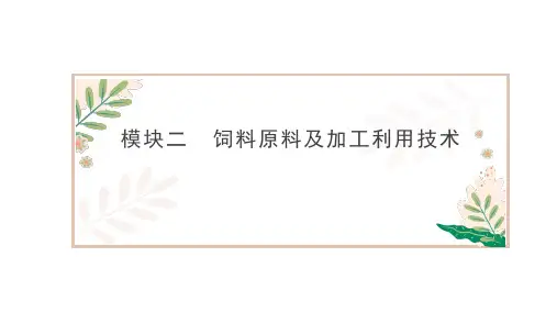 蛋白质饲料的加工利用课件(共49张PPT)《畜禽营养与饲料》