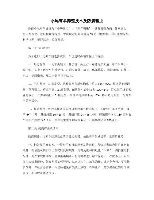 小尾寒羊养殖技术及防病驱虫