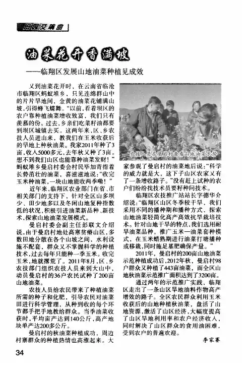 油菜花开香满坡——临翔区发展山地油菜种植见成效