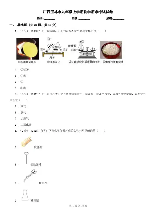 广西玉林市九年级上学期化学期末考试试卷 2