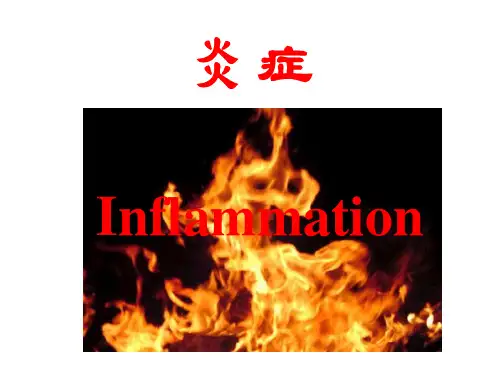 医学病理学 炎症