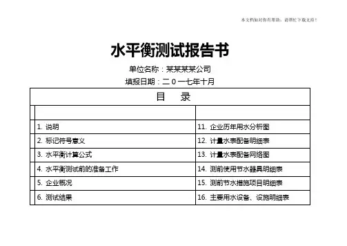 水平衡测试报告书
