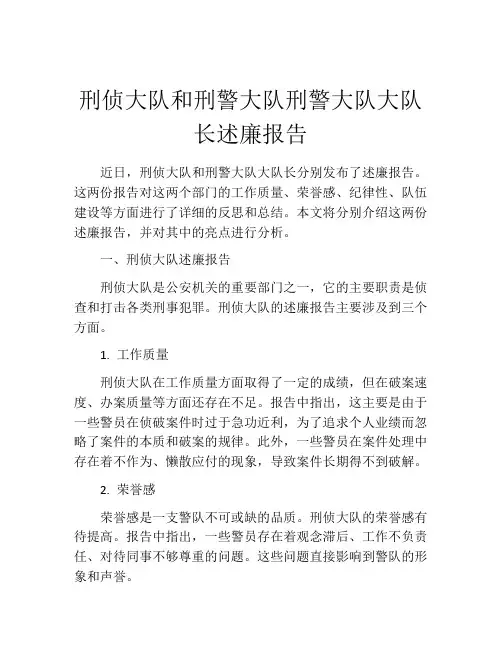 刑侦大队和刑警大队刑警大队大队长述廉报告