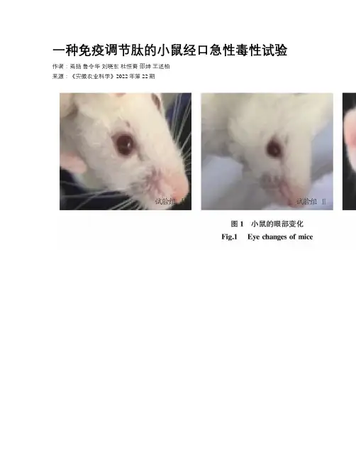 一种免疫调节肽的小鼠经口急性毒性试验