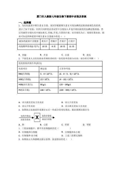 厦门市人教版七年级生物下册期中试卷及答案