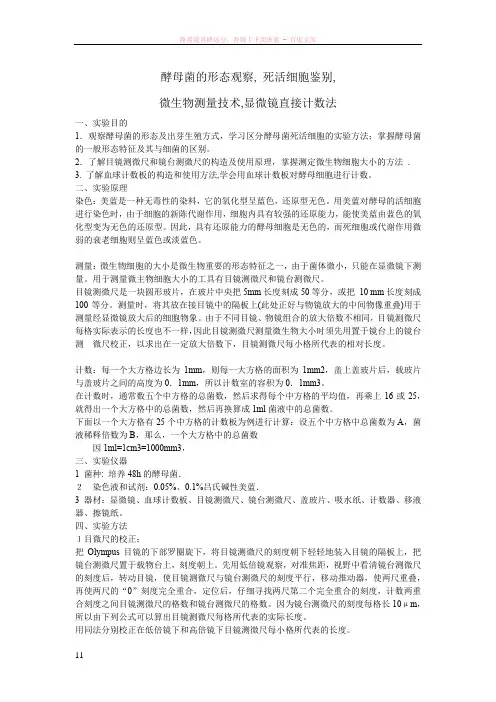 酵母菌的形态观察与微生物大小的测定