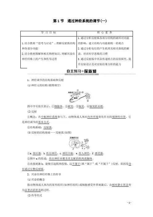 2019-2020学年 人教版  必修3  通过神经系统的调节一  教案