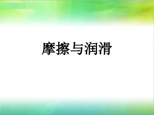《摩擦与润滑报告》PPT课件