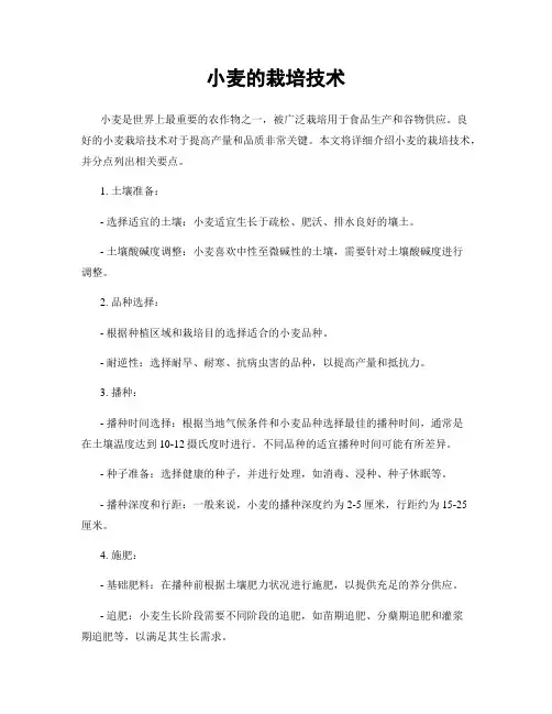小麦的栽培技术