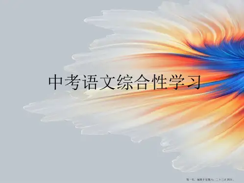 中考语文综合性学习简明技巧版
