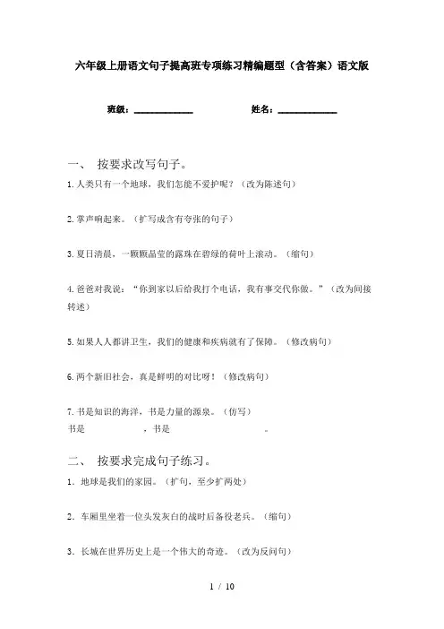 六年级上册语文句子提高班专项练习精编题型(含答案)语文版