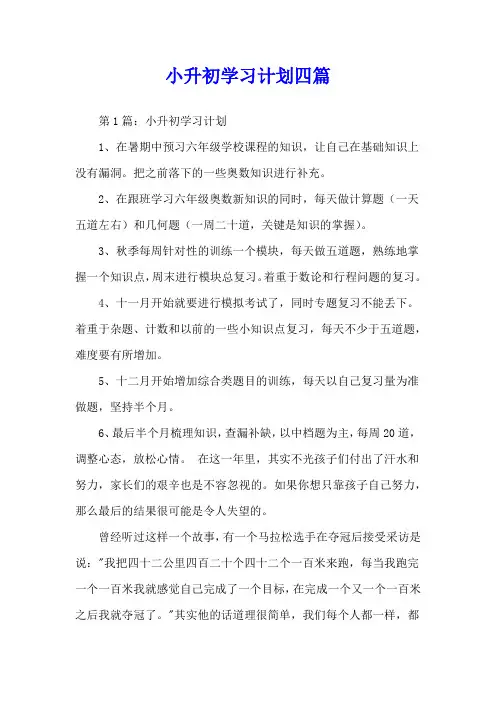 小升初学习计划四篇