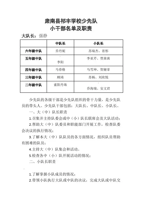 少先队大、中、小队长名单及职责