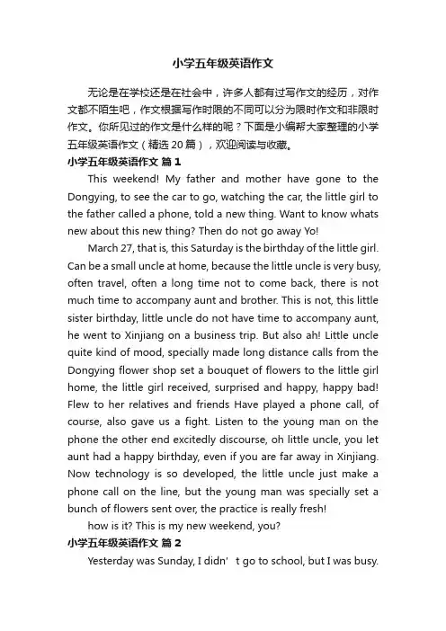 小学五年级英语作文（精选20篇）