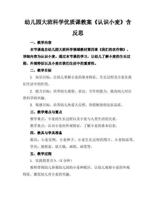 幼儿园大班科学优质课教案《认识小麦》含反思