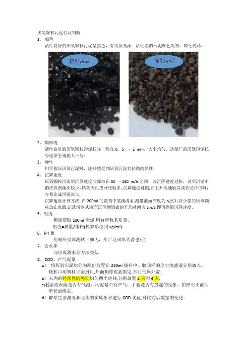 厌氧颗粒污泥性状判断