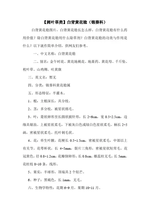 【阔叶草类】白背黄花稔(锦葵科)