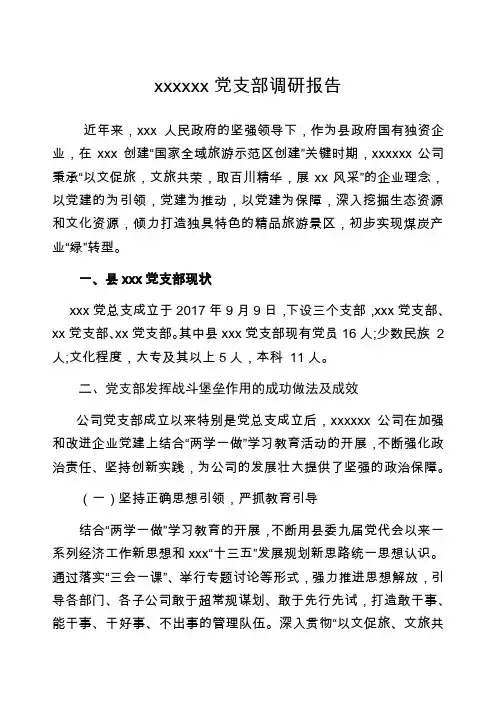 党支部调研报告