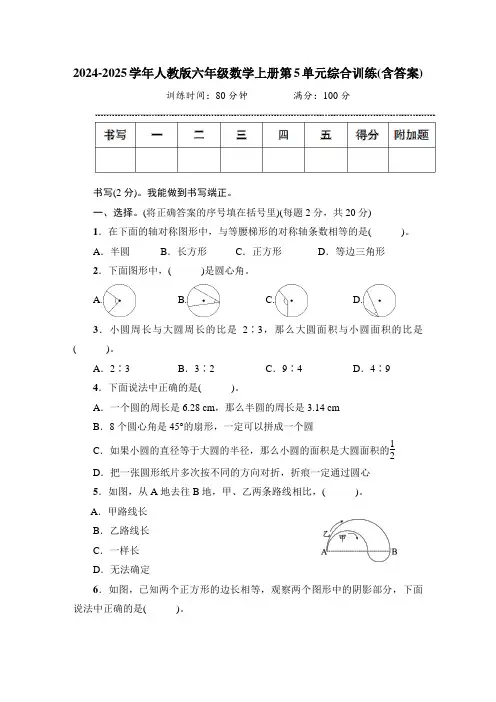 2024-2025学年人教版六年级数学上册第5单元综合训练(含答案)