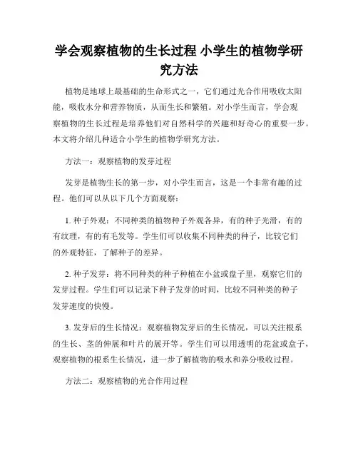 学会观察植物的生长过程 小学生的植物学研究方法