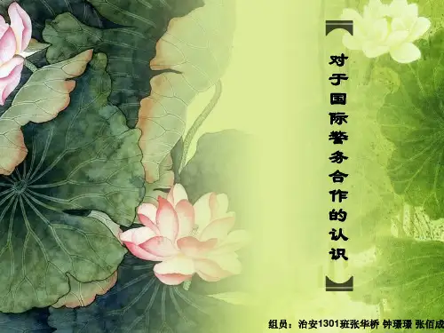 对于国际警务合作的认识