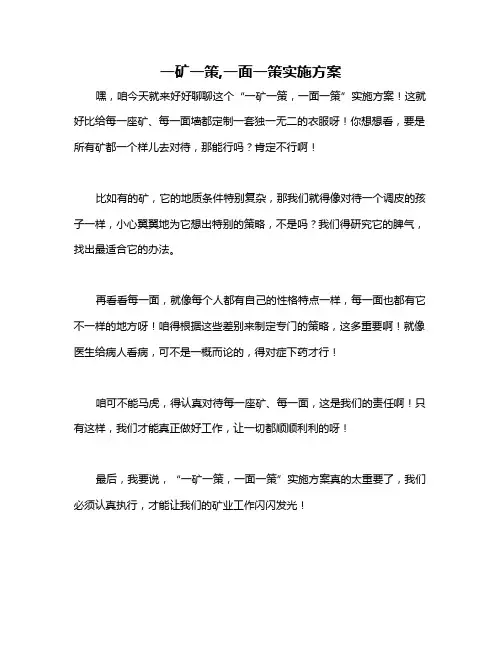 一矿一策,一面一策实施方案
