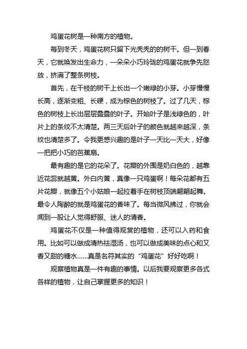 三年级鸡蛋花作文