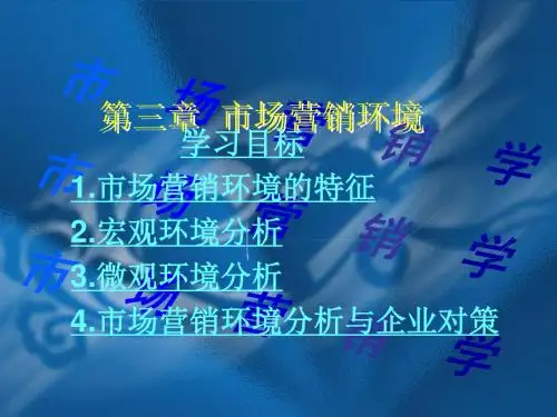第三章 市场营销环境PPT课件讲义