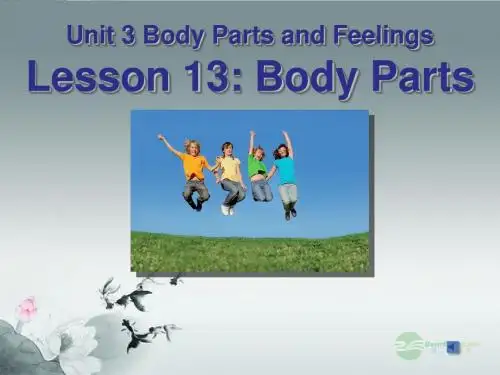 七年级英语上册_Unit_3_Body_Parts_and_Feelings_Lesson_13_Body_Parts 课件