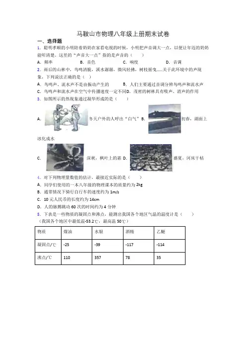 马鞍山市物理八年级上册期末试卷