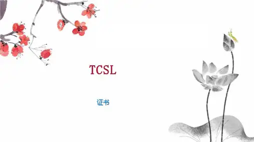 TCSL    