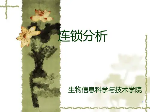 连锁分析 PPT课件
