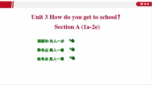 最新人教版七年级下册英语Unit 3 Section A (1a-2e)