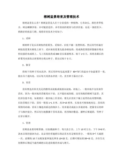榕树盆景培育及管理技术