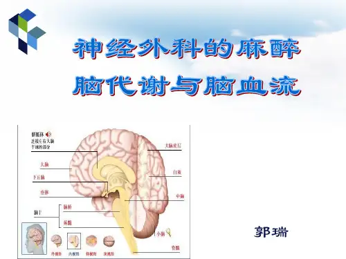 脑血流与脑代谢.ppt