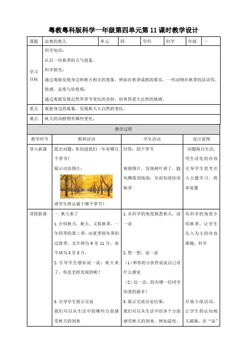 第11课《凉爽的秋天》（教案）