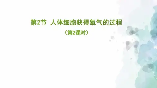 北师大版-生物-七年级下册-《人体细胞获得氧气的过程》第2课时预习课件