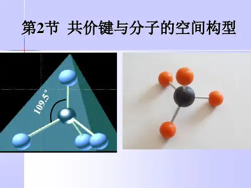 ez共价键与分子的空间构型